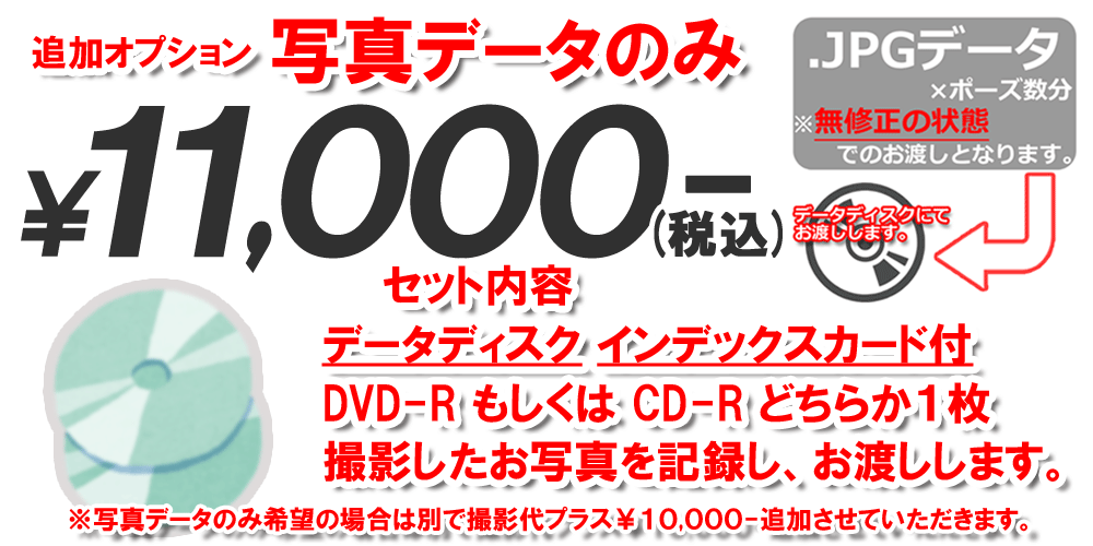 コメント 撮影データのお渡し 一万千円 消費税込み 撮ったポーズをまるごと記録しお渡しします 但し、未修正の状態でお渡しとなります ご了承下さい セット内容 データディスク1枚のみ